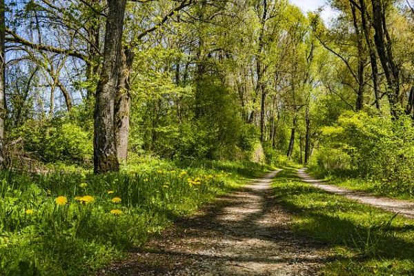Wandertag Exkursion
