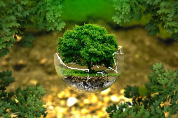 Biodiversität Vortrag